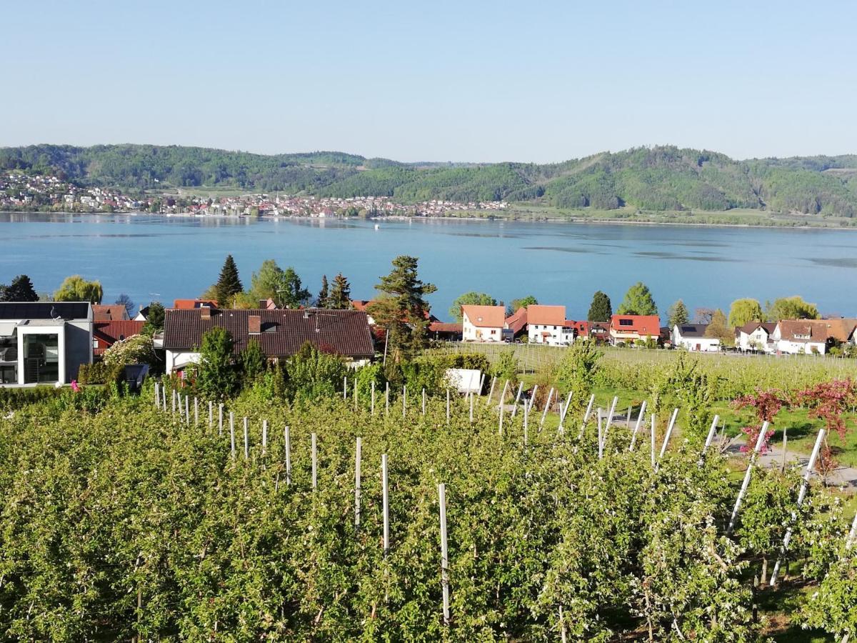 Fewo Segelwind Bodman-Ludwigshafen Exteriér fotografie
