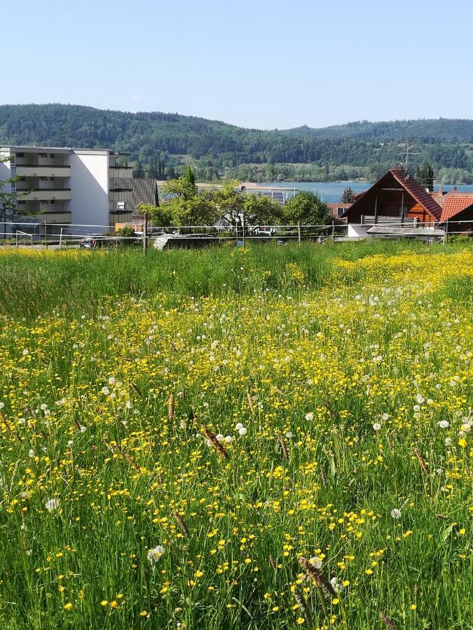 Fewo Segelwind Bodman-Ludwigshafen Exteriér fotografie